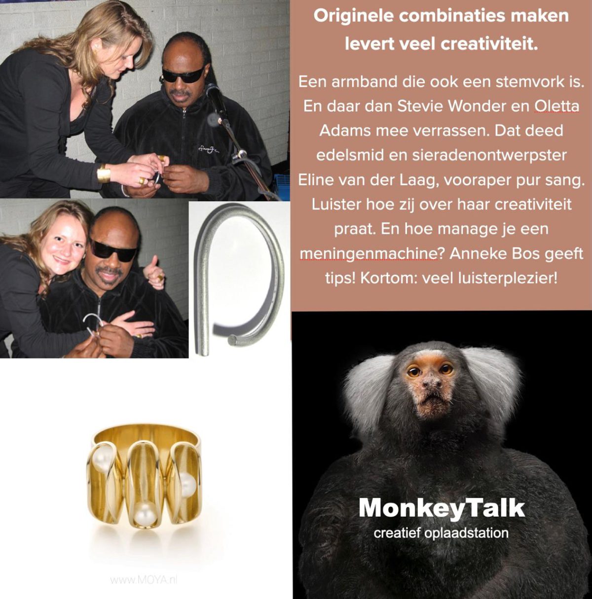 Monkey Talk podcast nr. 76 interview met Eline van der Laag